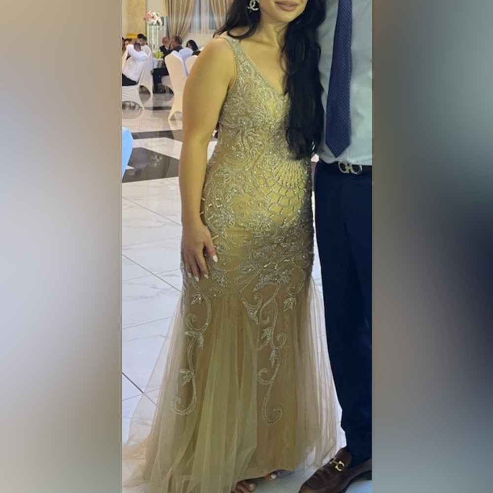 Terani couture evening dress